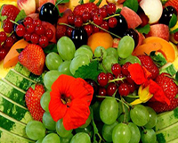 Fruits and Vegetables are low in fat, salt and sugar. They are a Good source of Dietary Fibre.